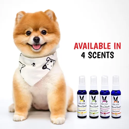 Vista 7 de Warren London Wet Kiss - Aerosol de colonia para perros, leche y miel, eliminador de olores de 2 onzas y ambientador para perros y gatos