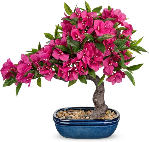 Vista 8 de Briful Planta artificial de buganvilla de 20.8 pulgadas, árbol bonsái de buganvilla con maceta negra, centro de mesa floral de buganvillas de seda