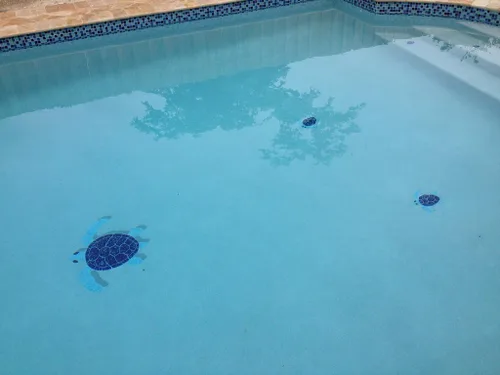 Vista 4 de Turtle Group Mosaico de cerámica para piscina (azul)
