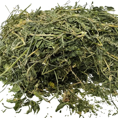 Vista 3 de Heno de alfalfa para conejos, cobayas, chinchillas, hámsters, jerbos y otros herbívoros pequeños. 12lb