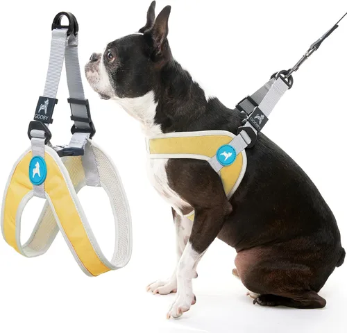 Vista 2 de Gooby Simple Step in III - Arnés para perro, verde, extra pequeño - Arnés para perros pequeños con chaqueta exterior resistente a los rasguños