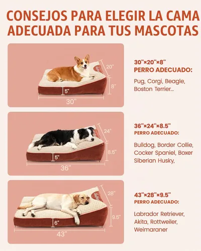Vista 3 de Cama ortopédica para perros y gatos de interior, cómodas camas planas para cachorros con funda extraíble lavable, cama para perros pequeños