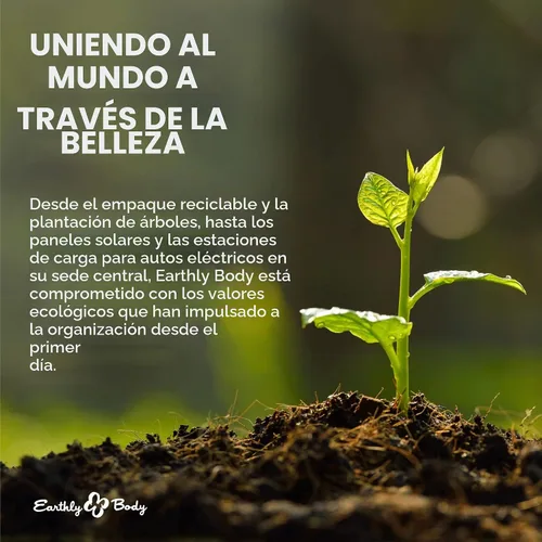 Vista 7 de Earthly Body Aceite de masaje comestible - Aceite de semillas de cáñamo, almendra, semilla de uva, albaricoque y vitamina E - Vegano y libre