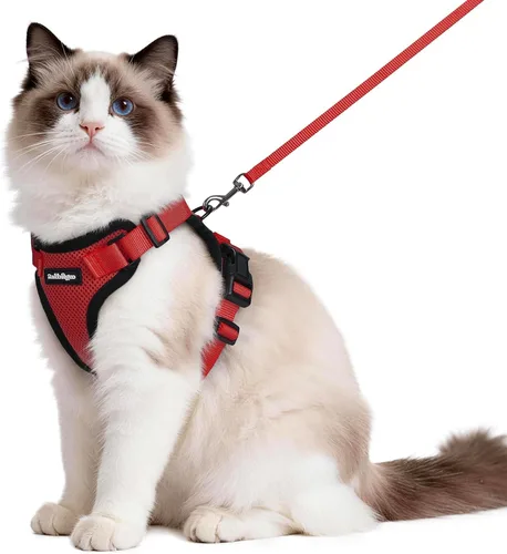 Vista 21 de rabbitgoo Cat Harness and Leash Set, Escape Proof Vest, XXS, Berry Pounce Soft Breathable Mesh, No-choke Adjustable Fit, Snap Buckles, Sturdy