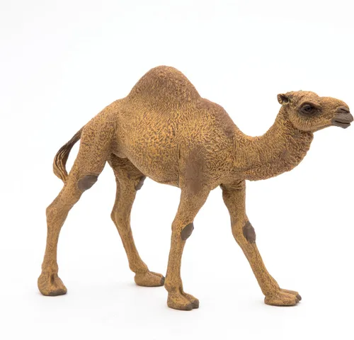 Vista 3 de Papo - Figura de dromedario realista - A partir de 3 años - Colección Wild Life - Juego educativo de animales del desierto - Juguete de idea