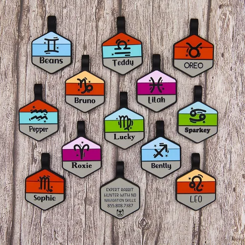 Vista 2 de Placa silenciosa para perro personalizada con 5 líneas de identificación de mascotas de silicona duradera y grabada profundamente, hexágono, azul