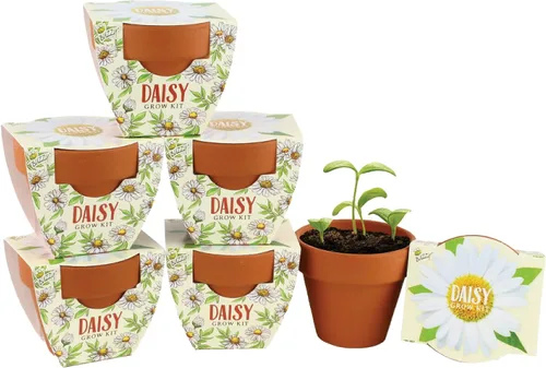 Vista 10 de BUZZY Semillas de terracota Mini macetas de cultivo Kit de iniciación de hierbas, plantas, flores para niños y adultos Mini cactus paquete de 6