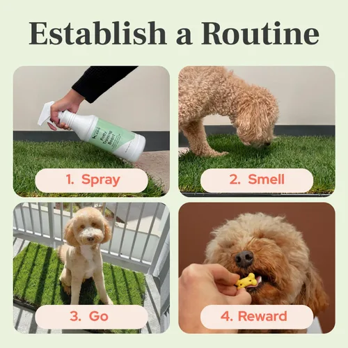 Vista 4 de DoggieLawn Spray de ayuda para el entrenamiento para ir al baño, aroma atractivo que ayuda a entrenar a los perros dónde ir al baño, formulado