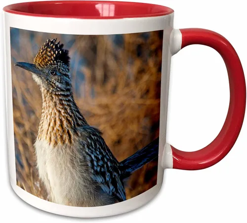 Vista 7 de 3dRose Roadrunner bird, Bosque del apache NWR, Nuevo México - US32 CHA0044 - Chuck Haney - Taza negra de dos tonos de 11 oz Negro