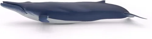 Vista 5 de Papo - Figura realista de ballena azul para niños - A partir de 3 años - Colección de vida marina - Juego educativo de mamíferos marinos - Juguete