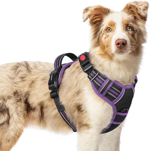 Vista 52 de Rabbitgoo - Arnés para perro de tamaño pequeño, arnés para mascotas sin tirones con 3 hebillas, chaleco acolchado suave ajustable con mango