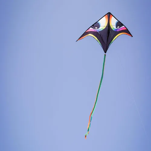 Vista 4 de In the Breeze 3340 - Manu Aurora 72" Delta Kite - Cara grande y colorida de pájaro de cometa voladora fácil