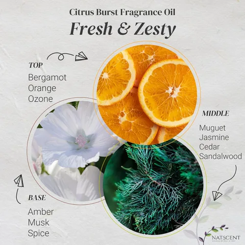 Vista 3 de Citrus Burst - Aceites esenciales para difusores para el hogar, aceite esencial de cítricos derivados de la naturaleza, aceites difusores de larga