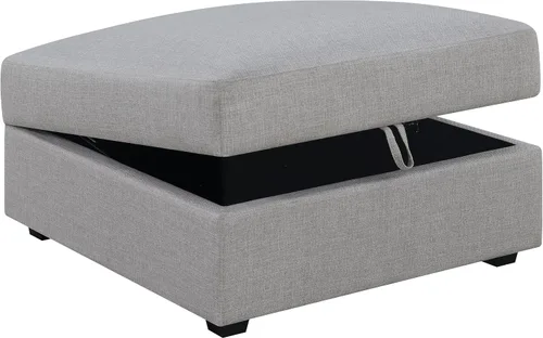 Vista 4 de Scott Living Coaster Charlotte - Otomana de almacenamiento, color gris