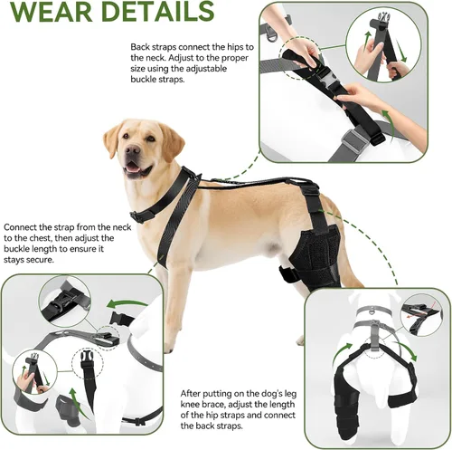 Vista 5 de Rodillera de perro para pierna trasera, soporte ajustable para piernas de perro para desgarro de ACL, soporte de pierna trasera, estabilidad