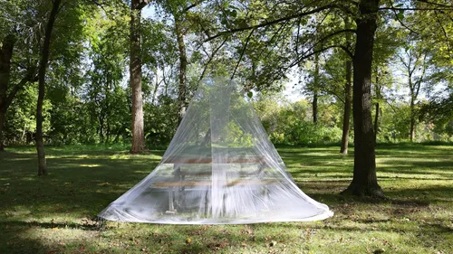 Vista 5 de Coghlan's Mosquitera Viajeros