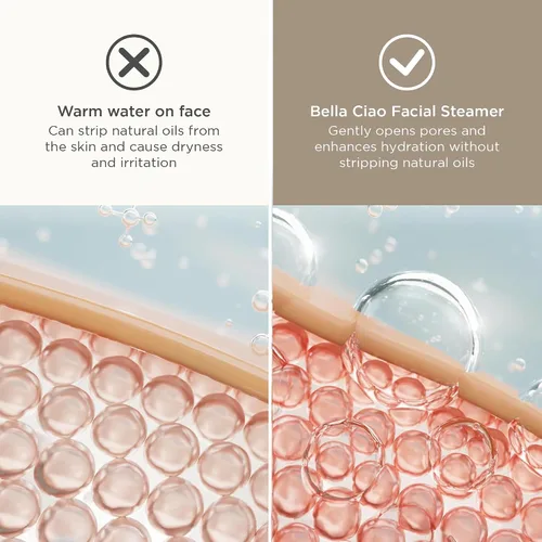 Vista 5 de Bella Ciao Juego de vaporizador facial de 11 piezas, vaporizador facial portátil para limpieza profunda, hidratación y cuidado de los poros, kit