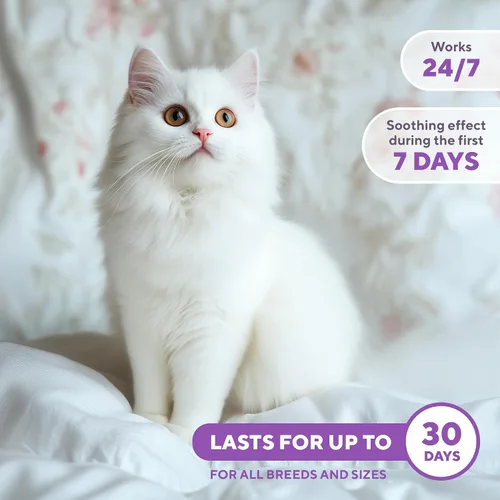 Vista 5 de Spray calmante con feromonas y repelente de arañazos para gatos - Reduce arañazos en muebles, orina - Durante viajes, fuegos artificiales, truenos