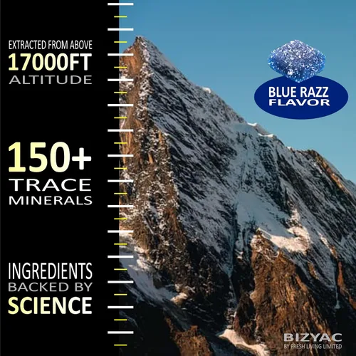 Vista 6 de Gomitas Shilajit orgánicas para hombres y mujeres con musgo marino y ashwagandha – 100% extracto del Himalaya con más de 105 minerales traza, raíz