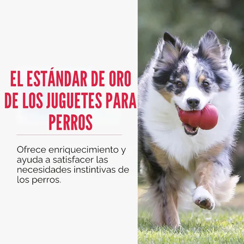 Vista 4 de Juguete masticable clásico Kong para perros - Juguete de buscar y masticar para perros - Capacidad para rellenar con premios y rebote errático