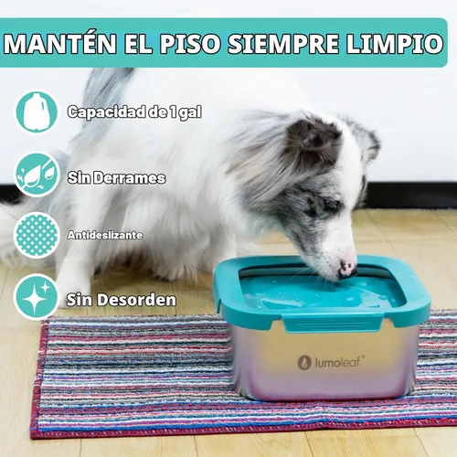 Vista 2 de LumoLeaf Cuenco de agua para perros de 1 galón sin derrames, de acero inoxidable, a prueba de salpicaduras, capacidad máxima, 4 litros, dispensador