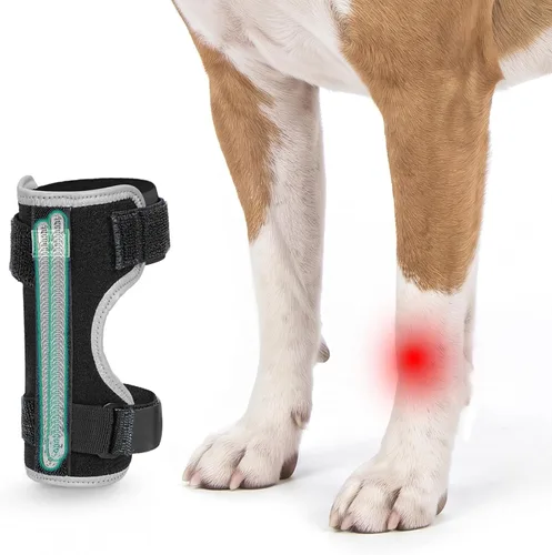 Vista 9 de Dog Leg Brace for Hock Joint, Dog Splint Ankle for Arthritis, Sprains S Azul