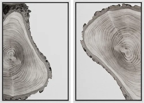 Vista 99 de SIGNWIN Lienzo enmarcado para pared, juego de arte con anillos de árbol de bosque grunge en blanco y negro, ilustraciones de naturaleza silvestre