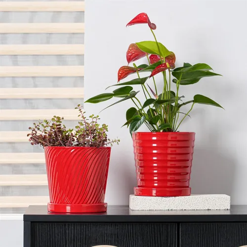 Vista 5 de Macetas Ton Sin, macetas de 6 pulgadas para plantas, maceta de cerámica con agujeros de drenaje, macetas de interior con platillo, macetas de jardín