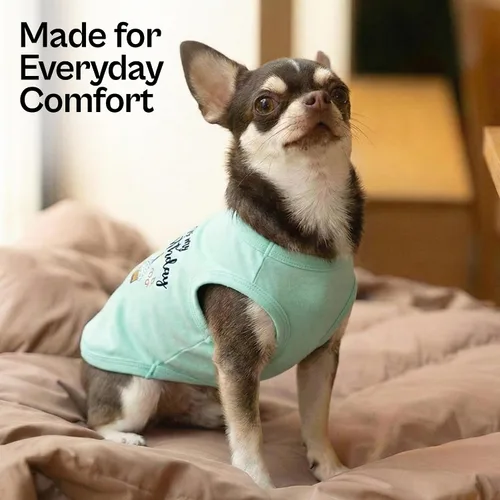 Vista 5 de Camiseta para perro Parisian Pet con palabras bordadas "Es mi cumpleaños" - Camiseta sin mangas para cumpleaños de perro - Chaleco ligero