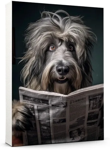 Vista 25 de Thuan Affenpinscher - Póster de lienzo con tus fotos, arte de pared para decoración del hogar, regalo conmemorativo para amantes de las mascotas