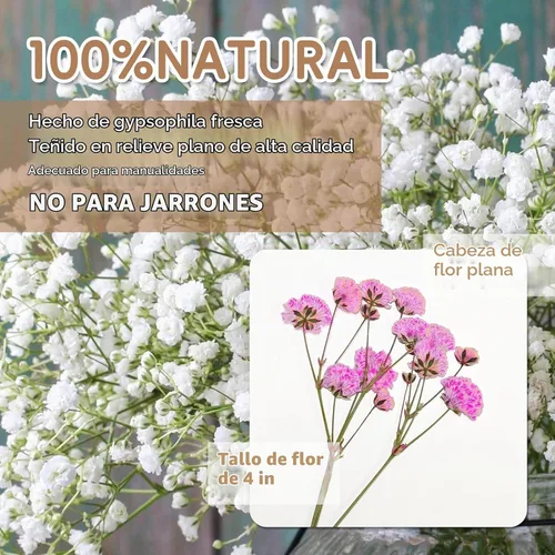 Vista 4 de 50 piezas de flores secas prensadas para el aliento del bebé Mini Rosa