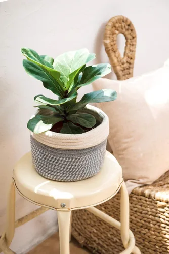 Vista 7 de Dahey - Canasta de cuerda de yute y algodón para plantas, mini cesta tejida para almacenamiento para macetas de hasta 7 pulgadas, cubierta