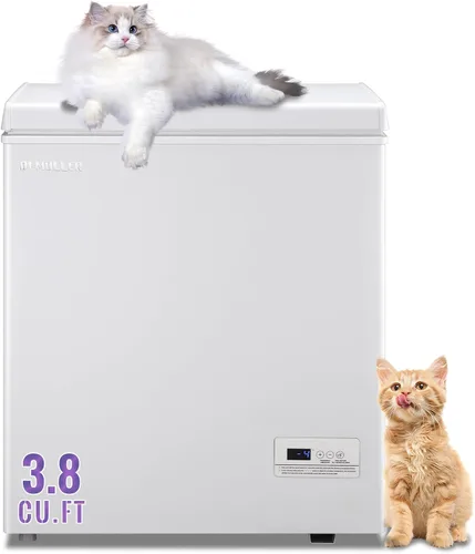 Vista 10 de DEMULLER Congelador profundo de 3.5 pies cúbicos con panel de visualización de temperatura, mini congelador con cesta extraíble, adecuado