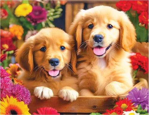 Vista 2 de RoseArt Kodak Premium Golden Puppy Pals 100 Piece Jigsaw Puzzle