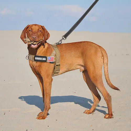 Vista 6 de Annchwool Arnés para perro sin tirones con funda para Airtag y dos parches, ajuste rápido y arnés reflectante a prueba de escapes, arnés de chaleco