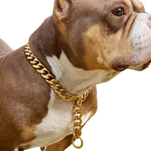 Vista 11 de Cierres de langosta fuertes ajustables para perros, collar de titanio, para entrenamiento, caminar, de metal, a prueba de masticación, para perros