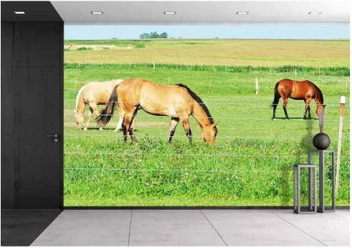 Vista 10 de wall26. Papel para empapelar autoadhesivo, grande, serie de mural., WMR-WP-X-C411-66x24x4