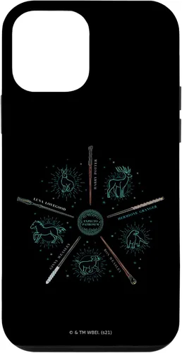 Vista 16 de Harry Potter Expecto Patronus and Wands Case for iPhone 17