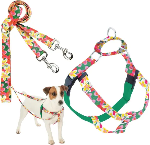 Vista 18 de 2 Hounds Design Freedom - Arnés para perro sin tirones, arnés ajustable y correa, fácil de caminar y control cómodo, se adapta a perros pequeños