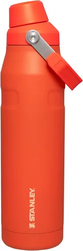 Vista 45 de STANLEY IceFlow Botella de agua de flujo rápido de 24 onzas Tapa con boquilla inclinada Ligera y a prueba de fugas para viajes y deportes Polar