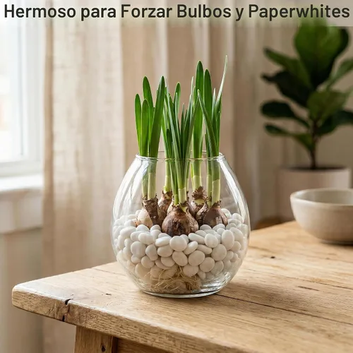 Vista 4 de Midwest Hearth - Piedras decorativas naturales pulidas de color blanco, tamaño de grava de 3/8 pulgadas
