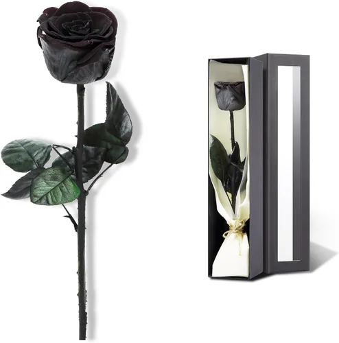Vista 18 de Flores para Entrega Prime, Rosas Preservadas Regalos de Flores para Mujeres, Rosas Reales Regalos de Rosa Individual para Ella, Regalos