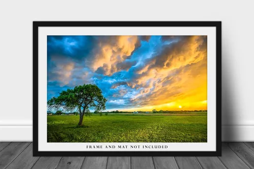 Vista 3 de Sky Photography Print (Not Framed) Picture of Colorful Storm Clouds Over Lone Tree at Sunset on Stormy Evening in Texas Country Wall Art Nature