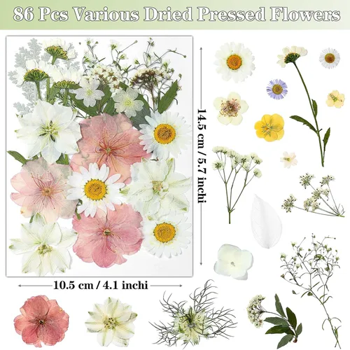 Vista 3 de 86 piezas de flores prensadas secas blancas y rosas para manualidades de resina Blanco 86 piezas