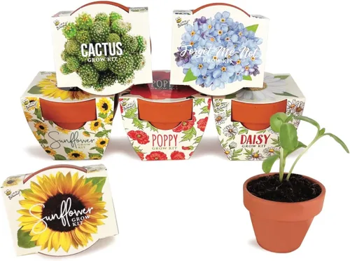 Vista 13 de BUZZY Semillas de terracota Mini macetas de cultivo Kit de iniciación de hierbas, plantas, flores para niños y adultos Mini cactus paquete de 6