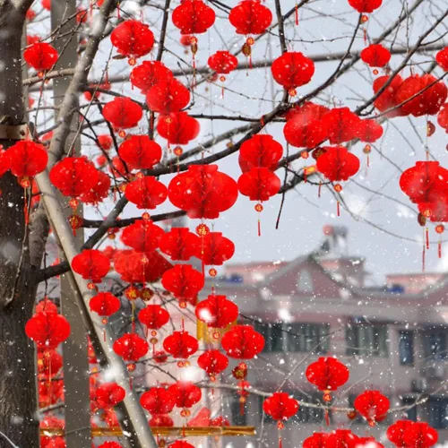 Vista 6 de Paquete de 26 faroles de papel para decoración de Año Nuevo chino 2026, faroles de papel colgantes japoneses rojos de 12 pulgadas y 8 pulgadas