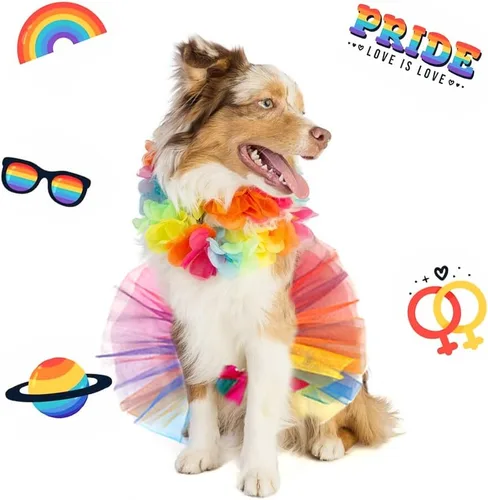 Vista 6 de Threetols Disfraz de arco iris para perro, vestido de princesa del orgullo navideño para gatos y perros, juego de tutú y collar para mascotas
