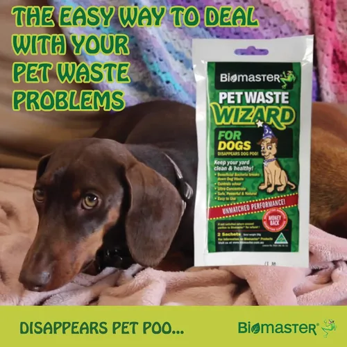 Vista 3 de Bolsas de digestor de mago de residuos para mascotas, enzimas beneficiosas para descomponer los desechos, (concentrado 100% natural, 2 bolsitas)