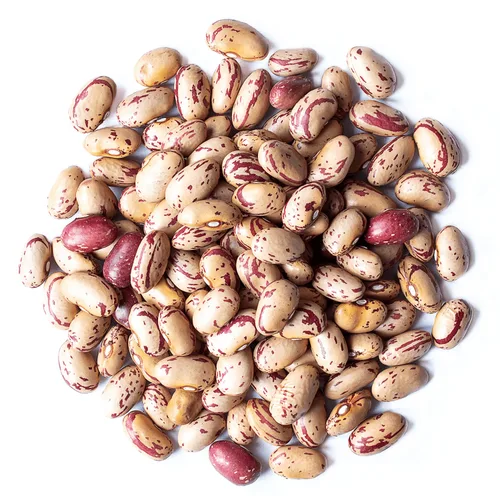 Vista 3 de Frijoles de arándano, 12 onzas – Frijoles Borlotti secos, germinables, veganos, kosher, a granel. Buena fuente de folato, fibra dietética