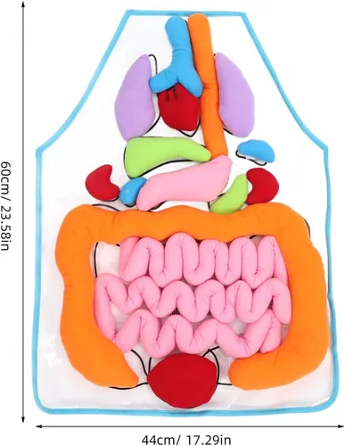 Vista 2 de VILLCASE Delantal de órgano humano 3D para enseñanza de niños, 12 órganos extraíbles, ayuda de enseñanza de poliéster suave, etiquetado y lavable